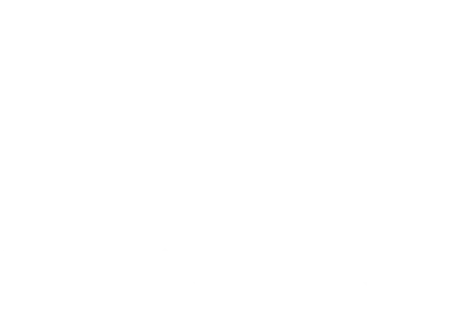 333