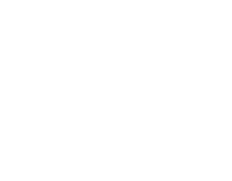 BRAZA DO VALE