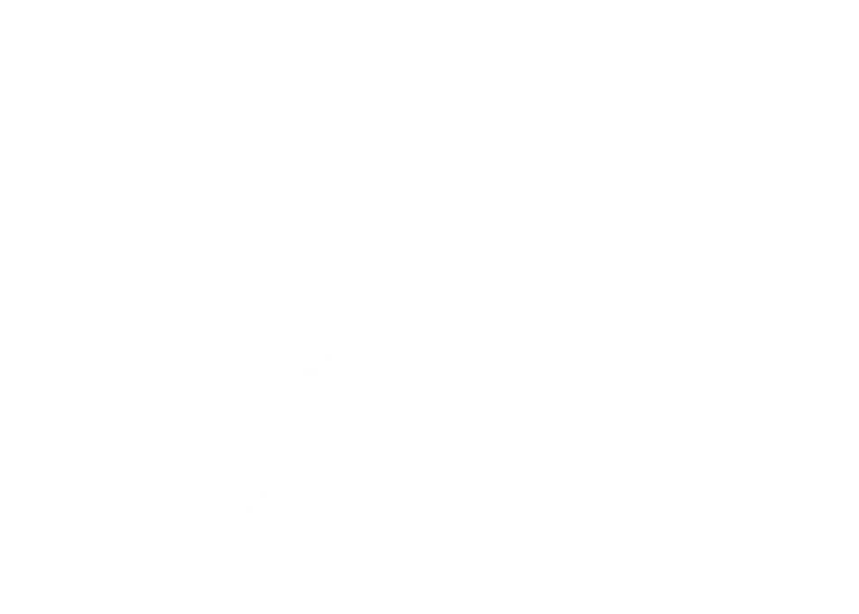 DIVIPRIME