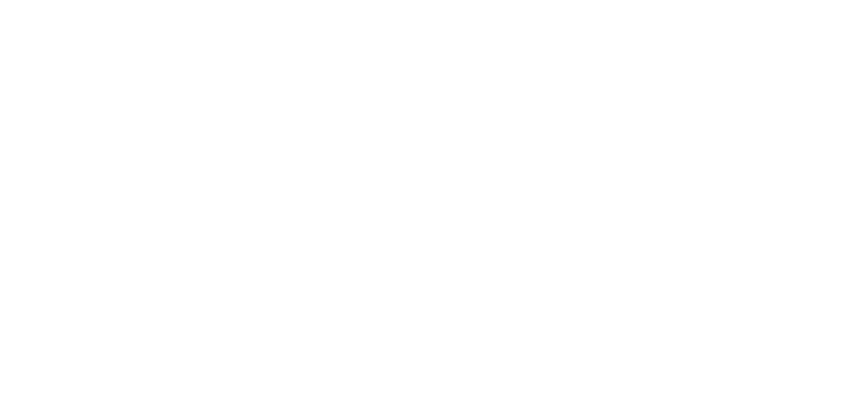 FAZENDA SAPUCAIA