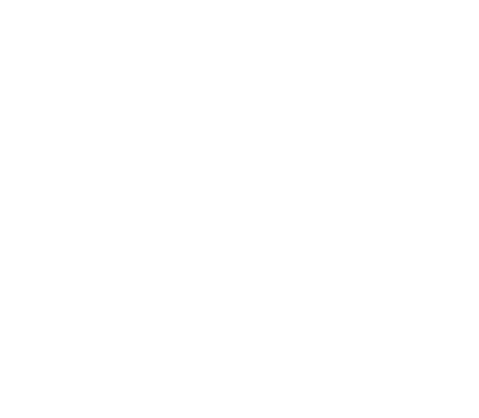 SOUSA ARAUJO